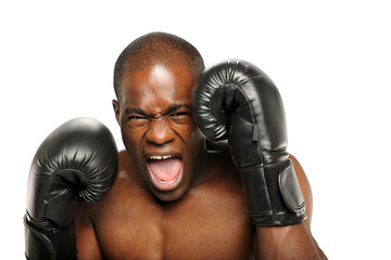 Young African American Boxer screaming