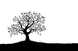 Tree Silhouette, Black and White Vector Shape
