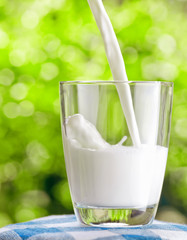 Sticker - Glass of milk on nature background