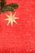 © rupbilder - Weihnachtsstern