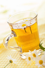 Poster - cup of herbal tea with chamomile flowers