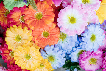  colorful of artificial gerbera flower blooming
