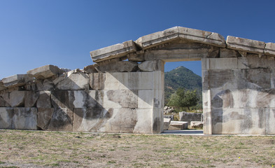 Wall Mural - Ephesus