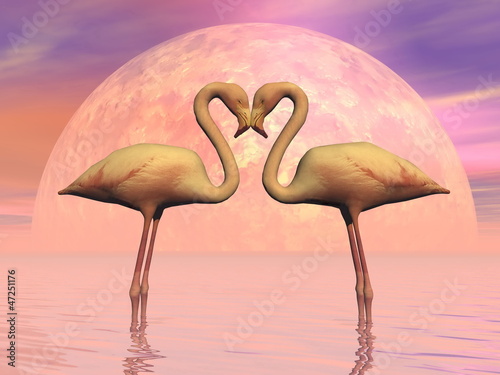 Obraz w ramie Flamingo love - 3D render