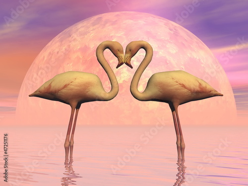 Naklejka ścienna Flamingo love - 3D render