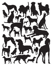 Hunting Dogs Vector