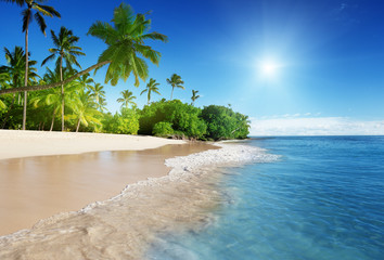 Wall Mural - caribbean sea and palms