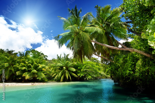 Foto-Fußmatte - lake and palms, Mahe island, Seychelles (von Iakov Kalinin)
