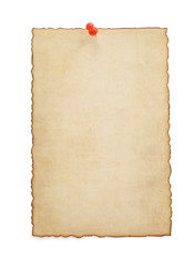 Wall Mural - paper vintage parchment on white