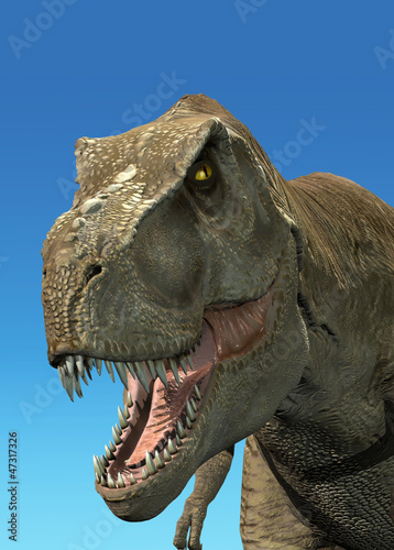 Obraz w ramie Photorealistic 3 D rendering of a Tyrannosaurus Rex.