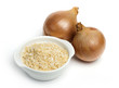 Mature onion and bowl with dried onion powder