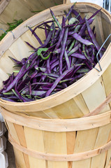 Wall Mural - Wooden basket of purple beans