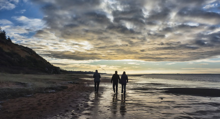 Wall Mural - Wadden sea near Esbjerg, Denmark