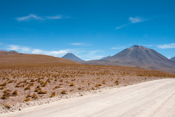 Wall Mural - Gravel road in Atacama desert, Chile