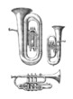 Saxhorn - Bugle