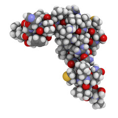 Canvas Print - Human parathyroid hormone (PTH, parathormone, parathyrin), chemi