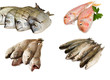 Varietà di pesce fresco