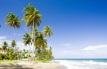 Poster - Sauteurs Bay, Grenada