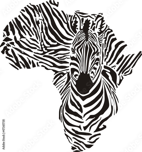 afryka-w-kamuflazu-zebry