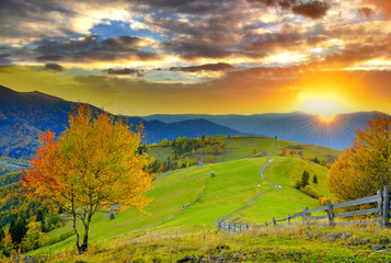 Poster - Mountain autumn landscape with colorful forest