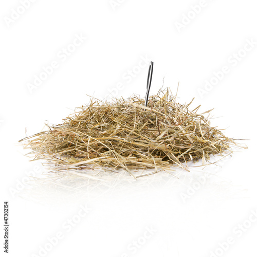 Leinwand Poster  Nadel im Heuhaufen