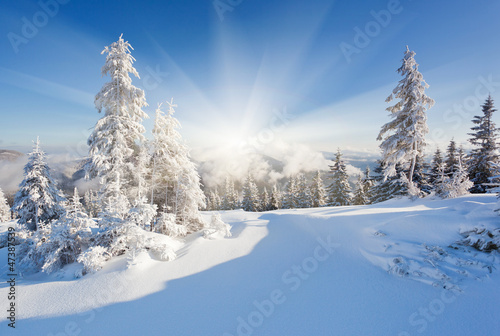 Nowoczesny obraz na płótnie winter