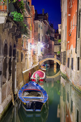 Wall Mural - Venice at night