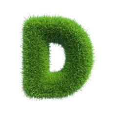 Canvas Print - grass letter D isolated on white background