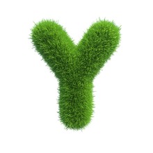 Grass Letter Y Isolated On White Background