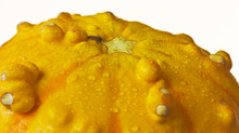 An Orange And Yellow Ornamental Gourd With Dewdrops