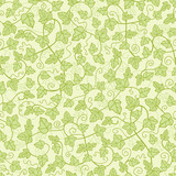 Fototapeta Młodzieżowe - Vector ivy plants seamless pattern background with hand drawn