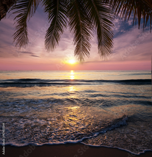 Naklejka na drzwi Tropical beach