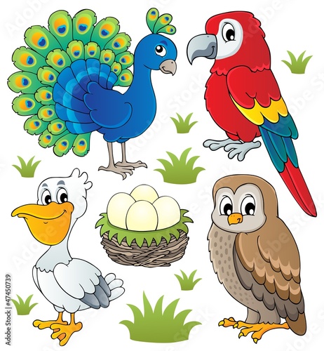 Obraz w ramie Various birds theme set 2