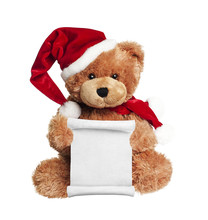 Christmas Toy Bear With Wish List