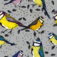 Titmouse / Seamless Background With Birds