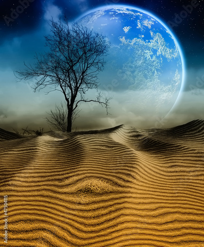 Nowoczesny obraz na płótnie 3D Desert