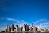 Fototapeta Zwierzęta - New York Manhattan Skyline