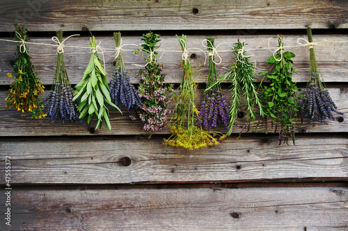 Obraz w ramie Herbs drying on the wooden barn in the garden