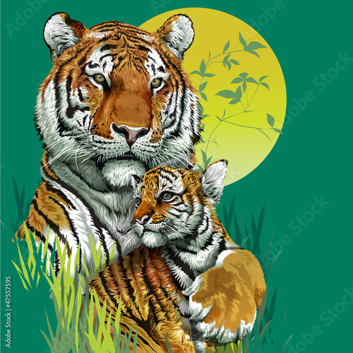 Naklejka ścienna Tiger family in jungle. Vector illustration