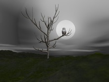 Owl And Moonlight - 3D Render