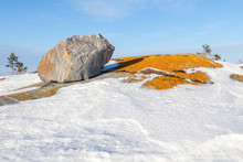The Big Stone And Orange Moss On Snow Coast Of The Winter Sea Ba