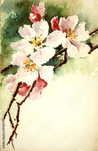 Plakat na zamówienie flowers illustration