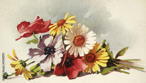 Obraz w ramie flowers illustration