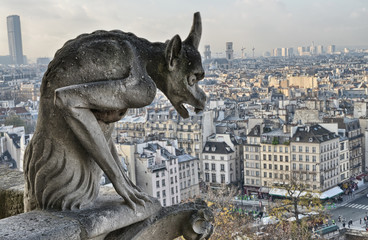 Fototapete - Paris. Closeup of gargoyle on the top of Notre-Dame Cathedral -