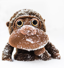 Little Monkey Plush Freezing Covered By Snow