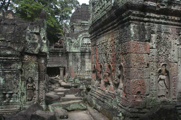 Wall Mural - Templos de Angkor. Preah Khan. Siem Reap. Camboya
