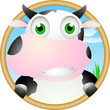 cute cow face