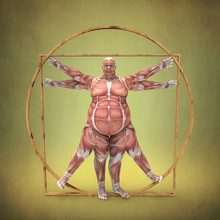 Anatomía De Hombre Obeso De Vitruvio