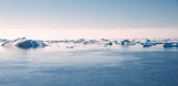 Fototapeta Zwierzęta - Antarctic ocean on the sun