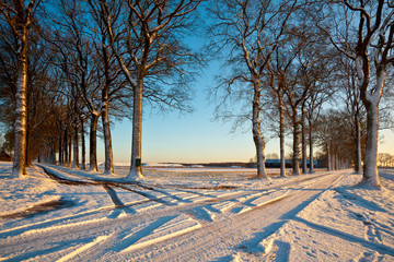 Poster - Crossroads of Snowy lanes